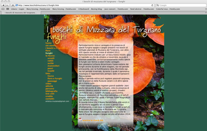 I boschi di Muzzana del Turgnano, sito web
